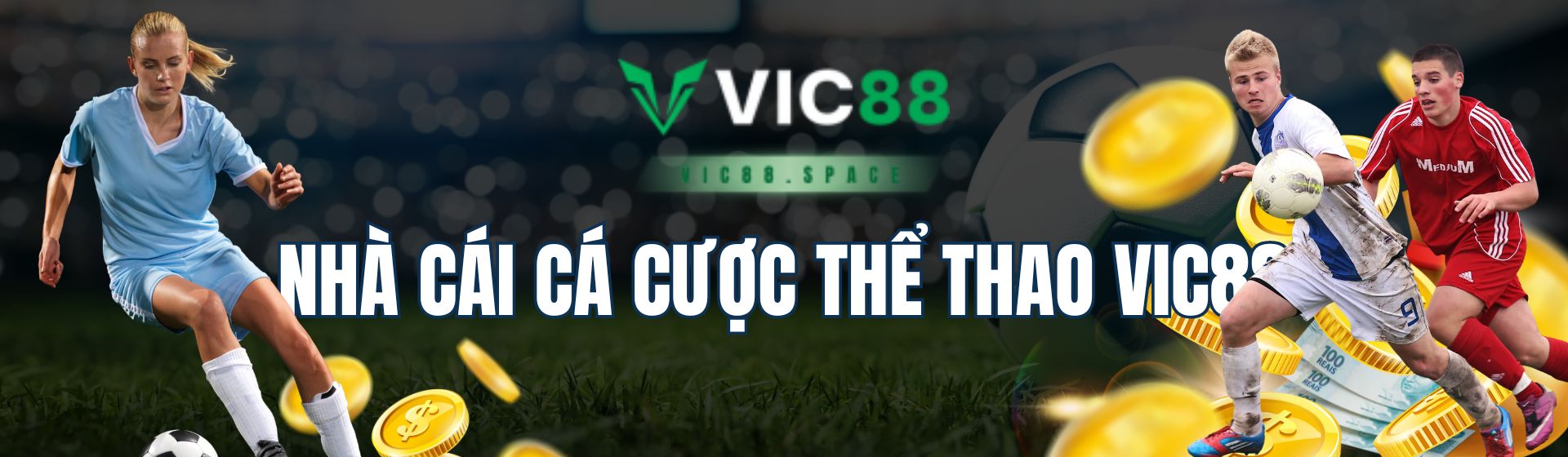 banner VIC88